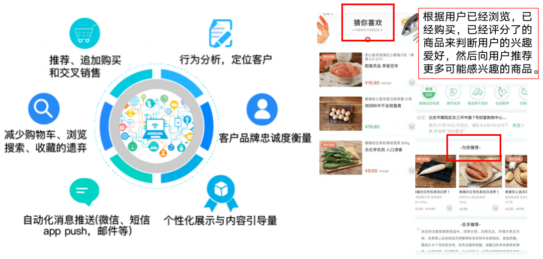 新澳天天开彩免费精准资料,实际调研解析_EIC79.557瞬间版