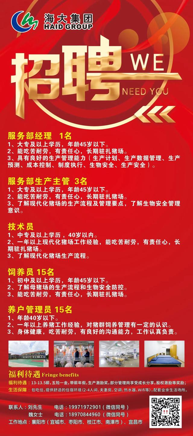 广东鱼池招聘启事，跃动梦想，共筑渔业未来舞台