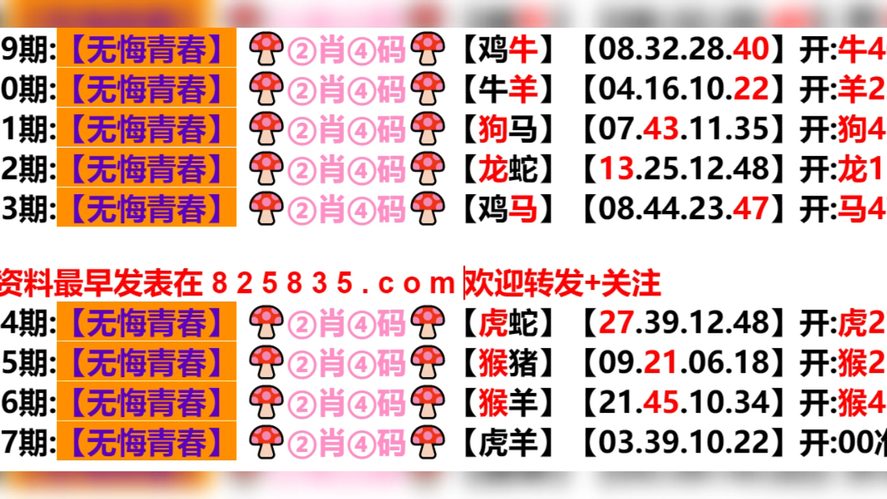 新奥门天天好资料开奖记录,数据整合解析计划_HOQ41.643毛坯版