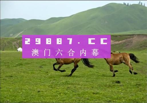 全网最精准澳门资料龙门客栈澳,即时解答解析分析_MMJ97.211升级版