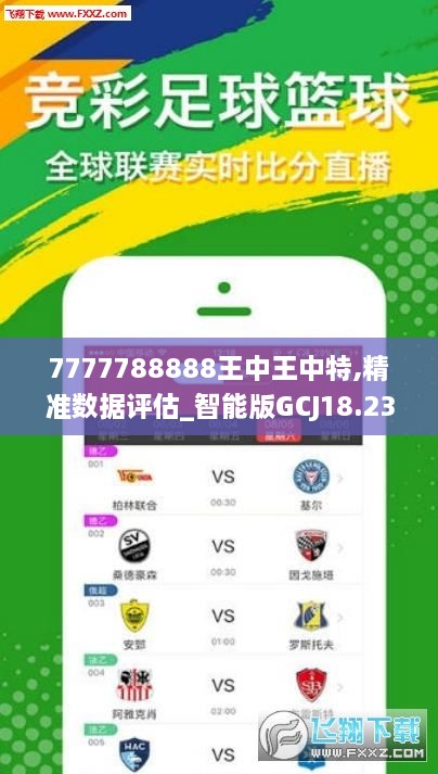 7777788888王中王传真,精细评估方案_JXQ41.459定向版