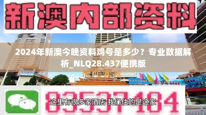2024新澳今晚资料鸡号几号,数据解释说明规划_LEE23.345轻奢版