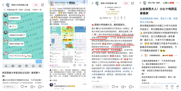 澳门天天彩正版免费挂牌,平衡执行计划实施_UJY41.587高级版
