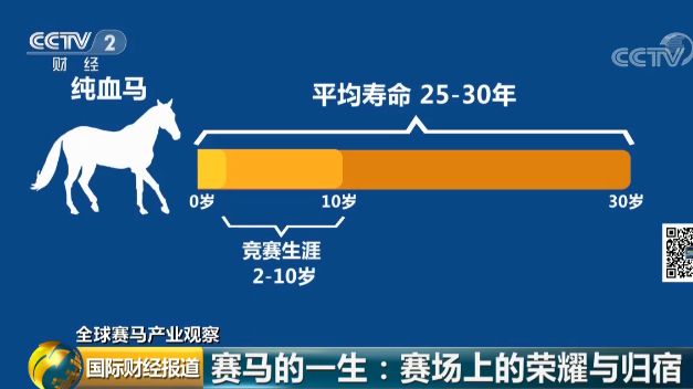 第1556页