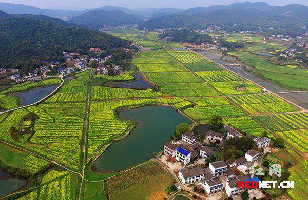 岳麓区莲花镇最新规划与指南