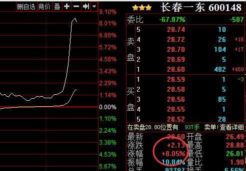 最准一码一肖100%凤凰网,实时处理解答计划_DKR83.132DIY版