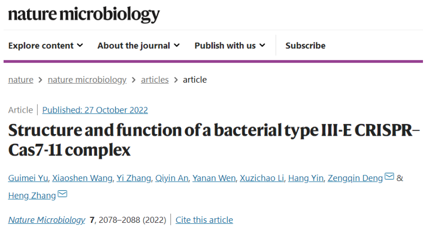 大三巴澳门彩网站,科学分析解释说明_UMQ83.190安全版