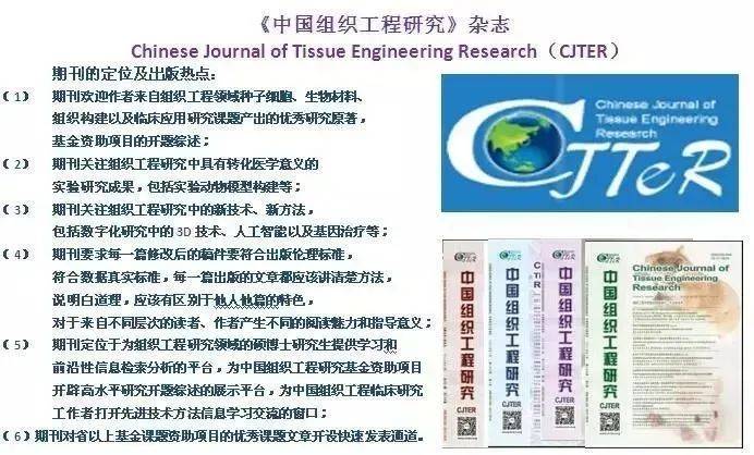 小鱼儿正版免费资料论坛,实际调研解析_GCU9.796创意设计版