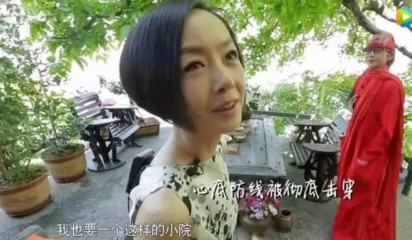 鲁豫采访杨丽萍最新科技版，舞者与科技的完美融合体验