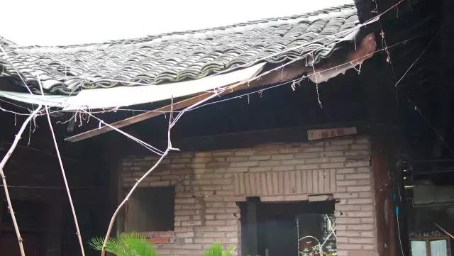 最新型猪圈搭建步骤详解，从基础到完成的实用指南