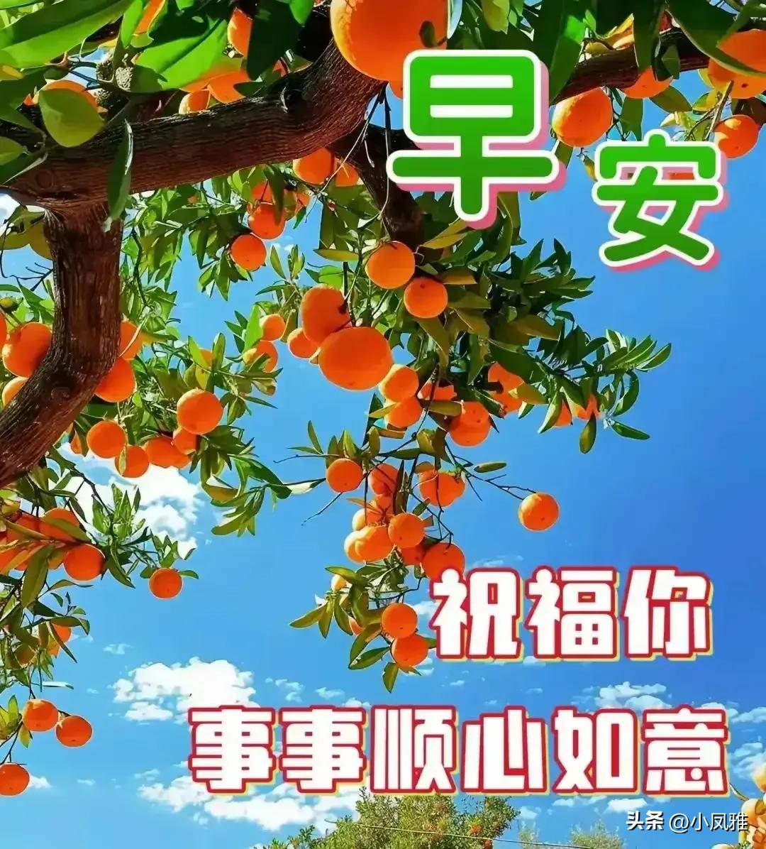 2024年天天彩精准资料,实时处理解答计划_家居版55.518