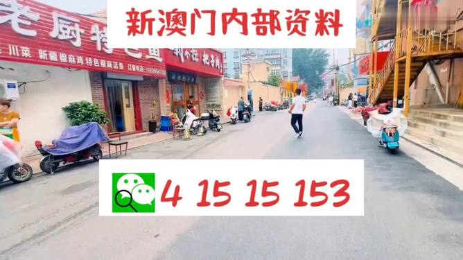 2024澳门天天开好彩免费大全,实际调研解析_远光版57.237