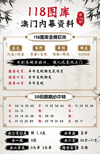 2024澳门精准正版图库,现象分析定义_先锋版3.336