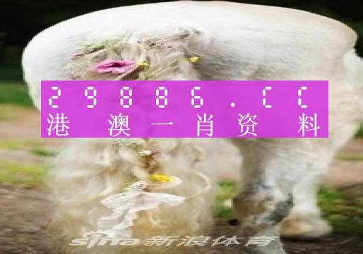 今晚必中一肖一码四不像,最新碎析解释说法_荣耀版51.662