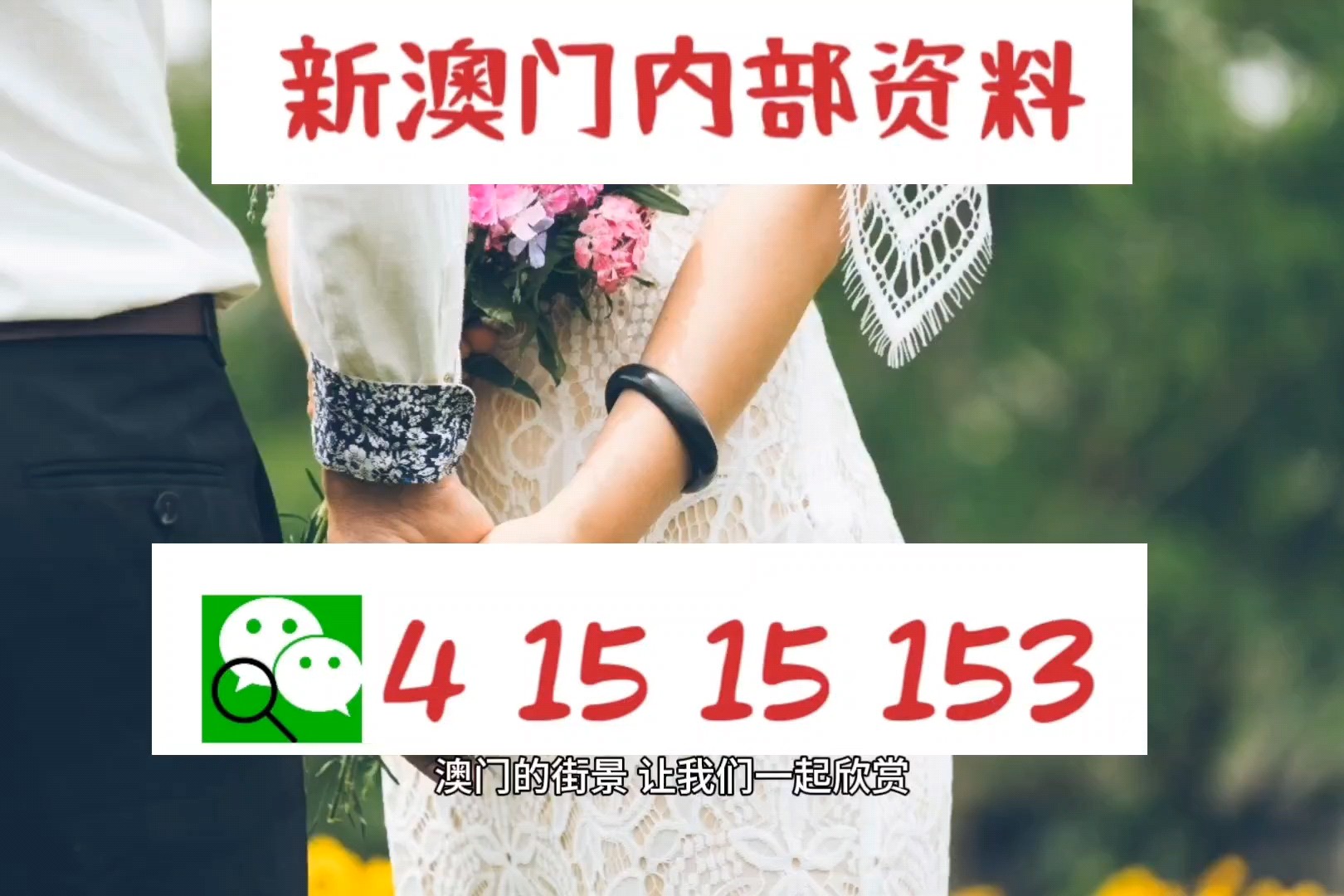 今晚澳门码特开什么号码,安全性方案执行_颠覆版82.237