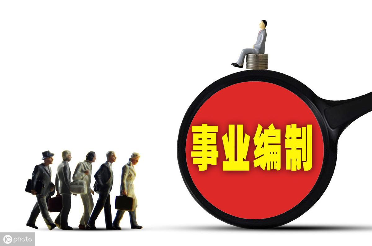 参公最新规定，时代变革的指引灯塔