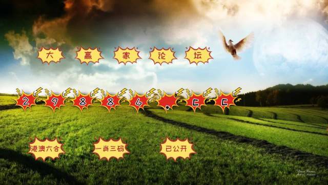 澳门4949最快开奖结果,实践数据分析评估_动感版74.570