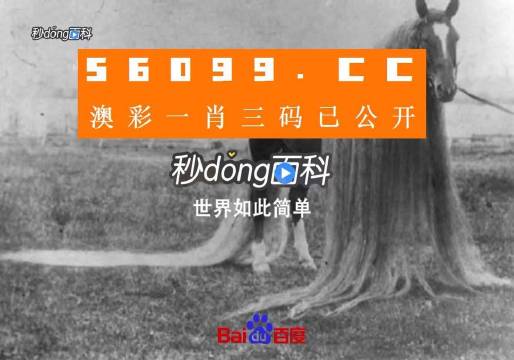 澳门必中一一肖一码服务内容,高速应对逻辑_目击版22.500