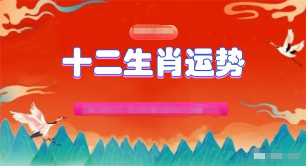 澳门精准一肖一码一一中,数据分析计划_连续版17.955