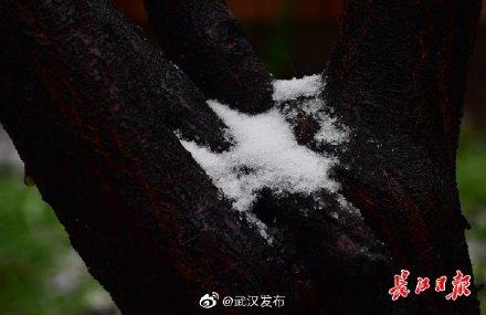 轻素最新图，小巷深处的独特风情