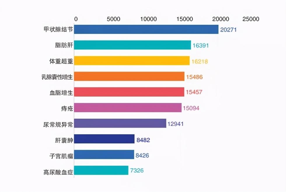 役情最新数据与全面步骤指南