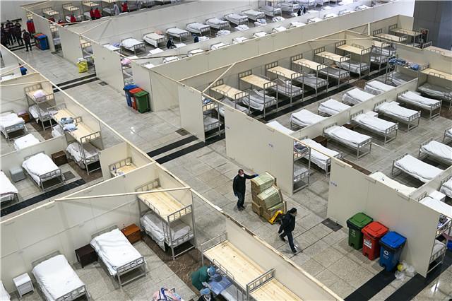 全球疫情追踪最新报道，多元观点下的全球视角与深度解析