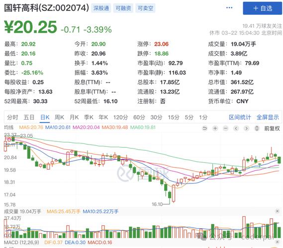 国轩高科股票最新动态，市场走势分析与观点阐述