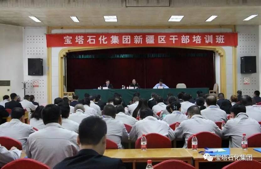新疆宝塔石化最新动态，友谊与陪伴的温馨故事