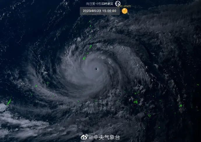 美国台风艾玛最新动态，揭秘小巷中的隐藏瑰宝