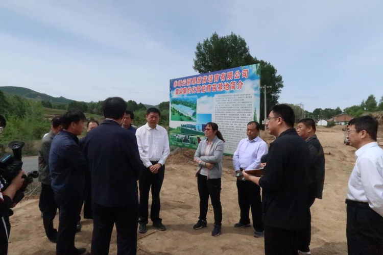 南台子乡最新资讯，发展与保护的双重考量