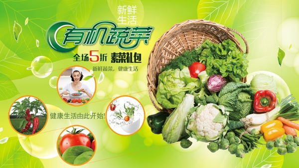 新鲜蔬菜速递，保障每一份绿色新鲜，直达您的餐桌