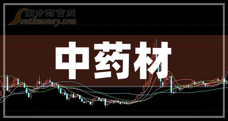 中药上市公司龙头股票，引领行业繁荣的领导者