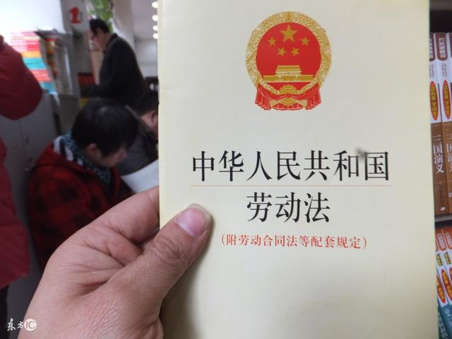 劳动法最新版全面解读与实战应用指南