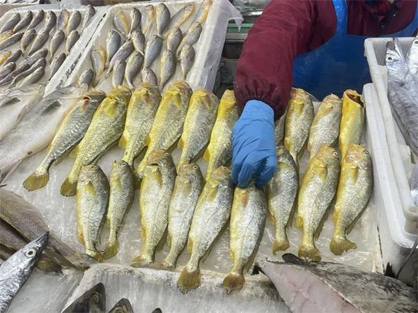 隐藏在巷弄深处的鲽鱼美食探秘，价格及一斤多少钱的揭秘
