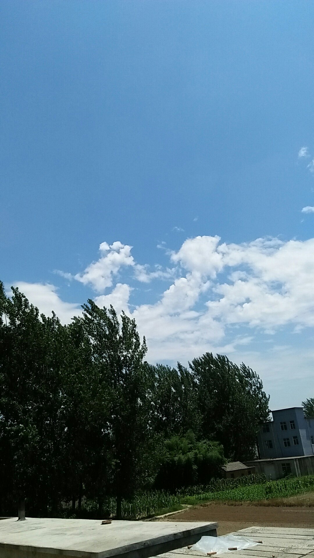 科技引领未来，怀远天气预报酷炫来袭！