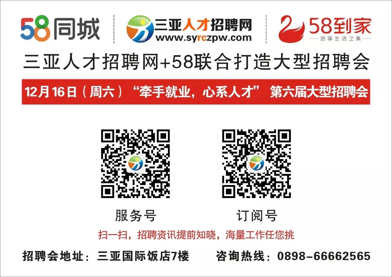 三亚最新招聘，巷弄深处小店奇遇的求职之旅