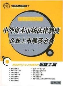 企业上市书籍，引领科技新时代，走向资本市场的先锋导航