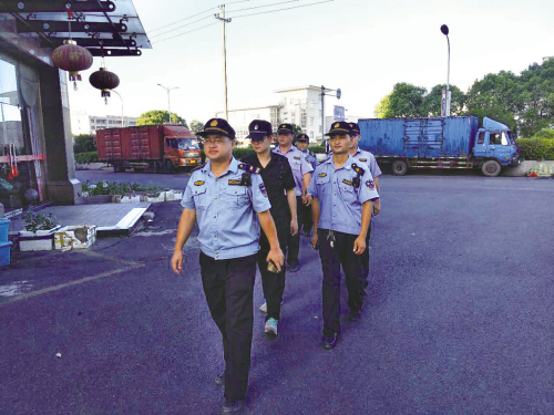最新综合执法改革措施概览，绿色行动助力法治进步