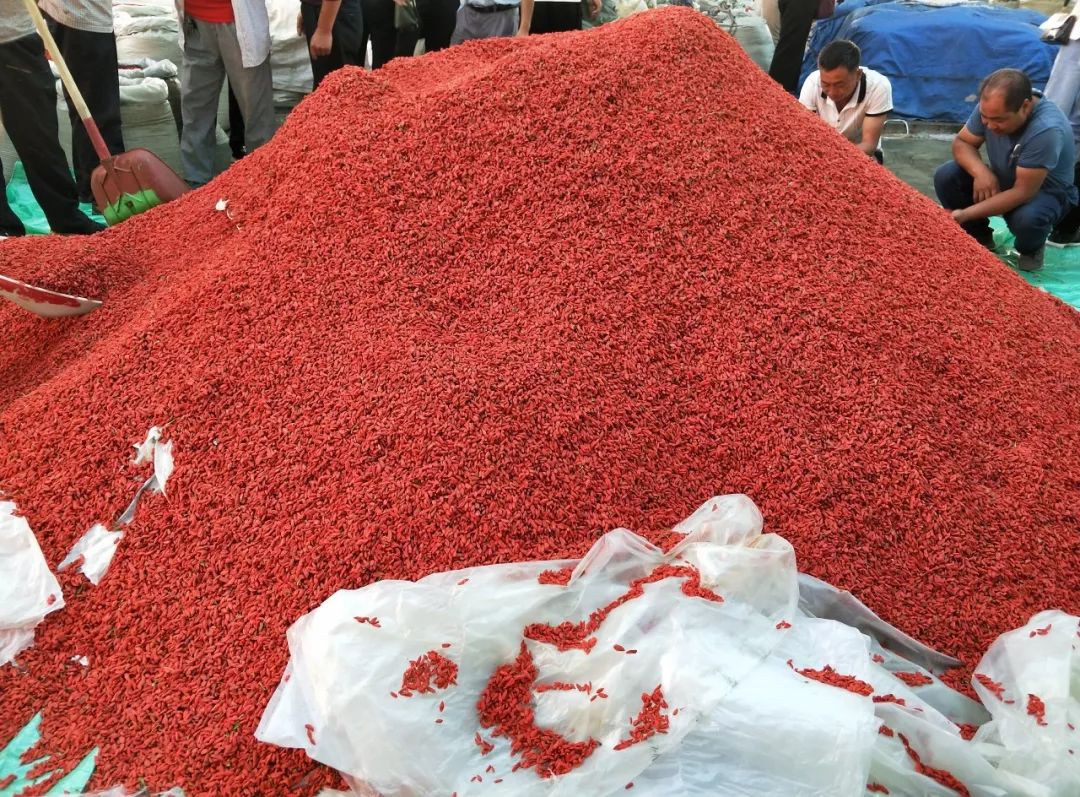红枸杞行情，探寻与友情的温暖交汇点