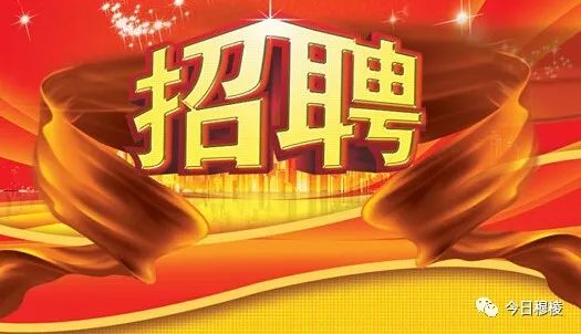 新疆国企最新招聘信息更新速递