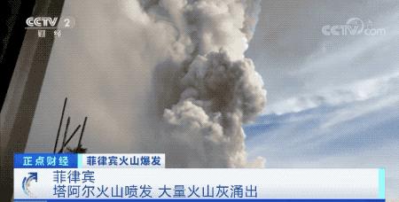 蝗虫动态报道，沙漠与草原的威胁及应对之策