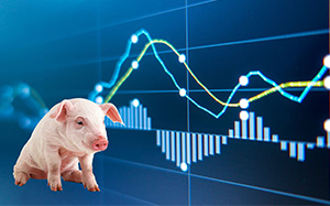 温氏最新猪肉价格，小巷深处的味觉惊喜探索
