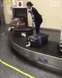 地勤最新动态揭秘，小明的机场奇遇之旅
