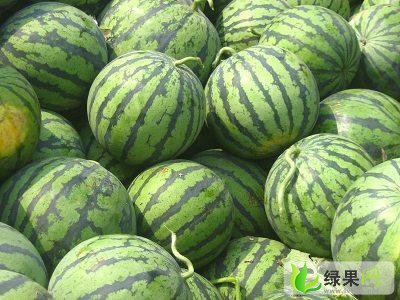 东台西瓜最新行情揭秘，小巷甜蜜的秘密探索