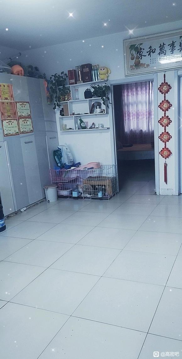 最新高密房源出售信息及小巷特色小店，城市宝藏发掘之旅