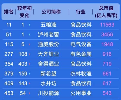 国内上市公司大盘点，投资风向标，你不能错过的投资机会🌟