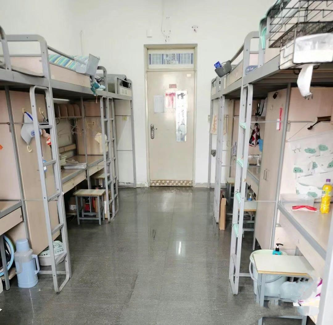 天津大学最新动态概览
