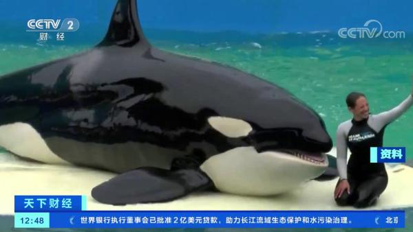 明星鲸技能学习与任务执行步骤指南