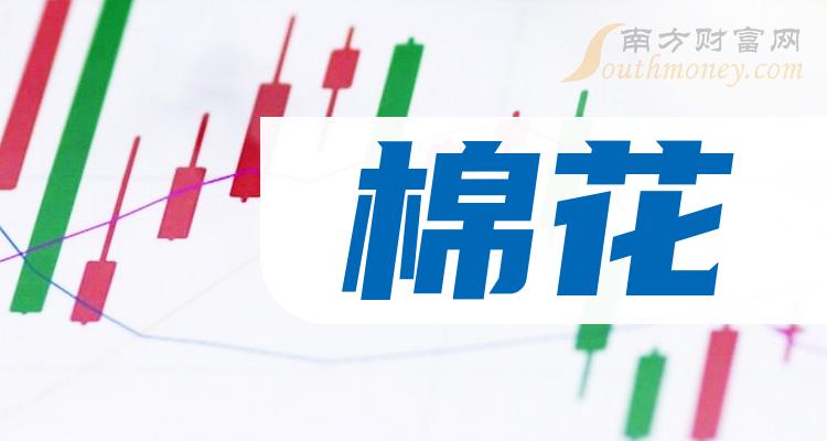 棉花股票与小巷探秘，独特小店之旅的揭秘