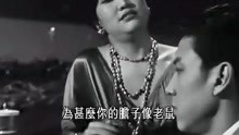 野玫瑰之恋最新章节探秘，浪漫之恋的绽放与探索